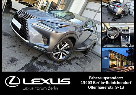 Lexus NX 300 NX300h E-FOUR Luxury Line * Anhängezugvorrichtun