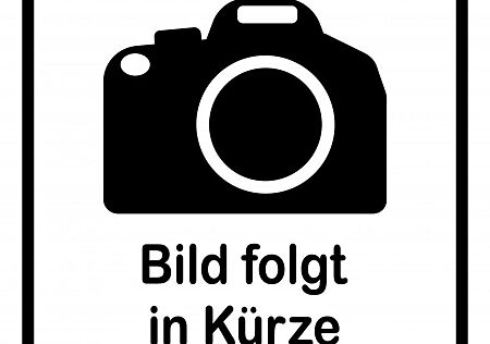 Mercedes-Benz SLK 230 KOMPRESSOR - rostfrei
