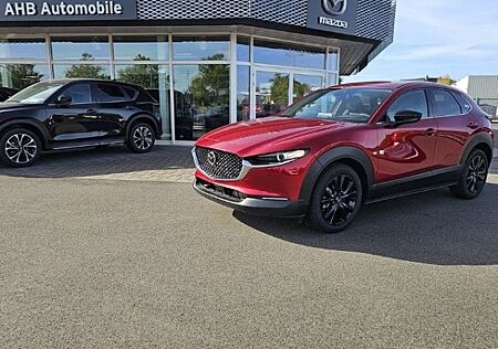 Mazda CX-30 SKYACTIV-G 2.0 M Hybrid 6GS AL-HOMURA HUD
