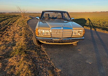 Mercedes-Benz 230 W 123 Bergdoktor E