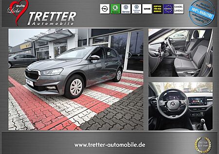 Skoda Fabia Selection 95 PS Parken Winter SmartLink Bl