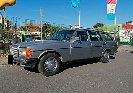 Mercedes-Benz 300 300td Kombi H-Kennzeichen Klima Leder Automatik