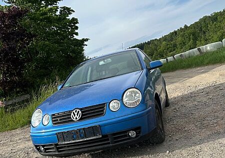 VW Polo Volkswagen Cricket* TÜV NEU* Steuerkette neu* 1 Hand