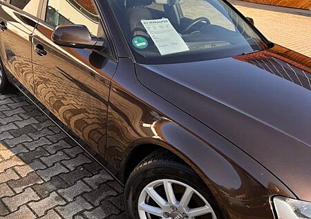 Audi A4 B8 Avant 2.0 TDI. zuverlässig, gepflegt