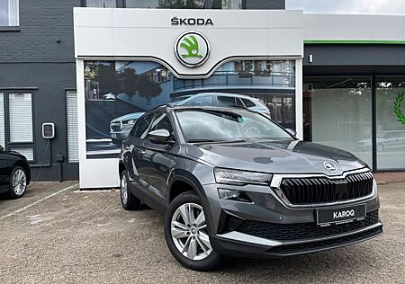 Skoda Karoq Selection