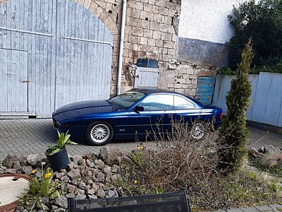 BMW 850i Schalter Rostfrei Kein CSI