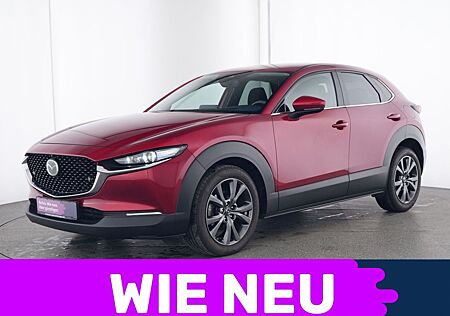 Mazda CX-30 M Selection HeadUp|Navi|CarPlay|Kamera|LED