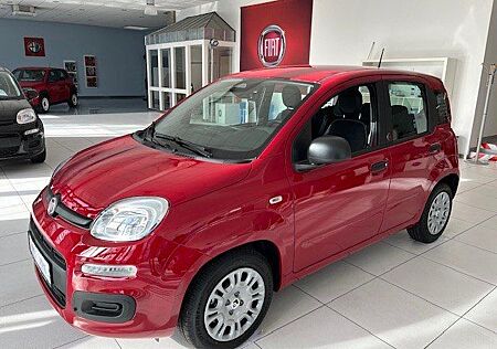 Fiat Panda Pandina ICON- Klima*PDC*Tempomat*Bluetooth