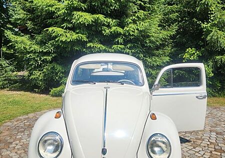 VW Käfer Volkswagen Export, Baujahr 1962