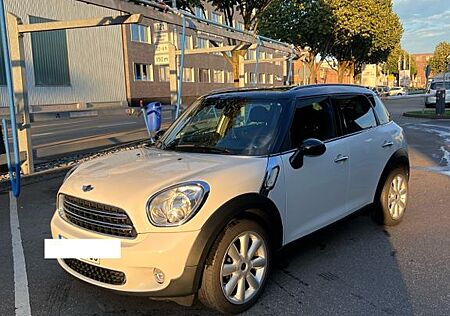 Mini Cooper Countryman Countryman Chilli