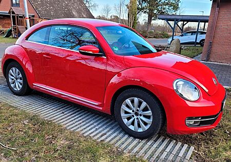 VW New Beetle Volkswagen