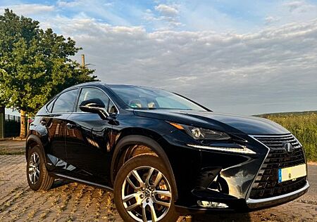 Lexus NX 300 NX 300h Executive Line *TOP GEPFLEGT*