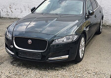 Jaguar XF Portfolio-Leder-Pano-SHZ-PDC-BT