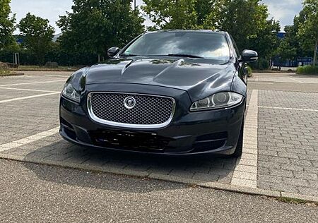 Jaguar XJ Supersport 5.0 V8 Kompressor Langversion ...