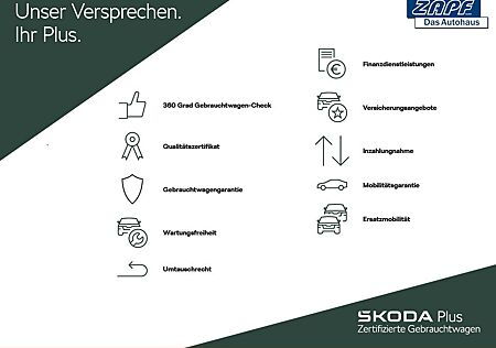 Skoda Fabia 1,0 TSI DSG Style/Navi/R-Kamera/Lenkr.Heiz