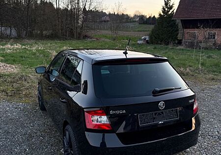 Skoda Fabia 1.4l TDI Tüv neu