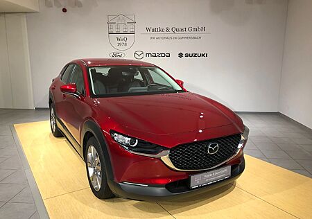 Mazda CX-30 Selection Lenkradheizung Kamera AHK