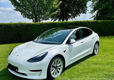 Tesla Model 3 Standard-Reichweite Plus - Hinterrad...