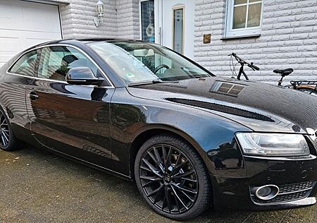 Audi A5 3.0 TDI (DPF) quattro - VOLLEDER - TÜV NEU