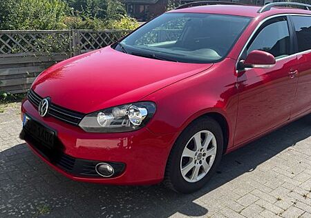 VW Golf Volkswagen 1.6 TDI 4MOTION Comfortline Variant Com...