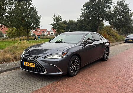 Lexus ES 300 300h Business Line Automatik Business...
