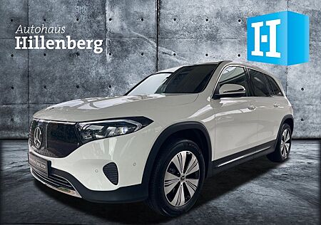 Mercedes-Benz EQB 300 4M Progressive Advanced; Winter; Kamera