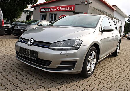 VW Golf Volkswagen 1.4 TGI CNG DSG BlueMotion Navi,PDC,Xenon