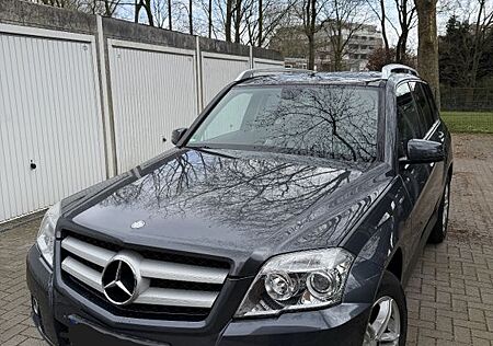Mercedes-Benz GLK 220 CDI BlueEFFICIENCY -