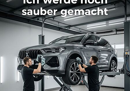 Mercedes-Benz E 250 Navi Leder Tempo Autom