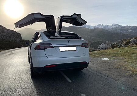 Tesla Model X 75D - autonomes Fahren