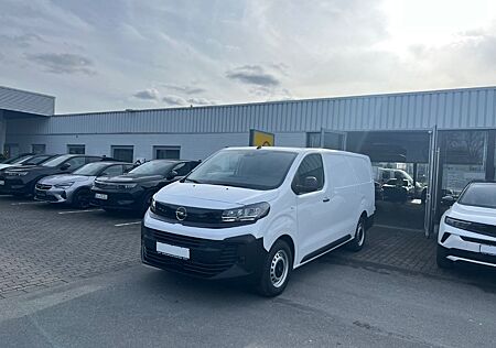 Opel Vivaro Kasten Edition voll Ausgebaut PDC