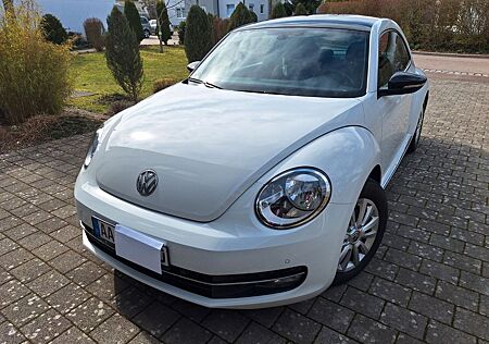VW Beetle Volkswagen 1.4 TSI DSG BMT CLUB CLUB