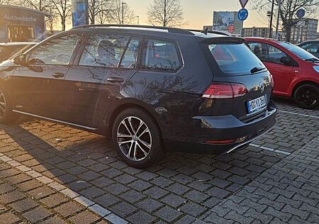 VW Golf Volkswagen 2.0 TDI SCR DSG IQ.DRIVE Variant IQ.DRIVE