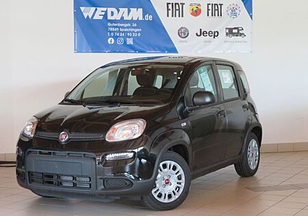 Fiat Panda Base 1.0 MildHybrid *sofort*