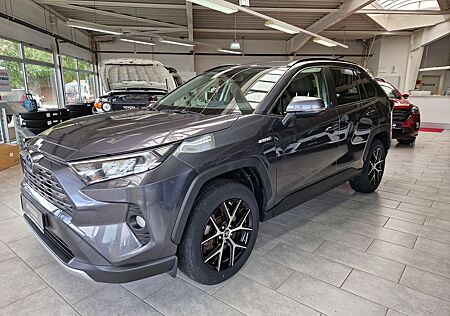 Toyota RAV 4 RAV4 Hybrid 4x2 Team D *Technikpaket*