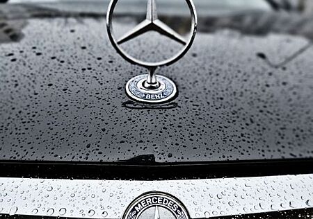 Mercedes-Benz E 220 CDI BlueEFFICIENCY ELEGANCE ELEGANCE