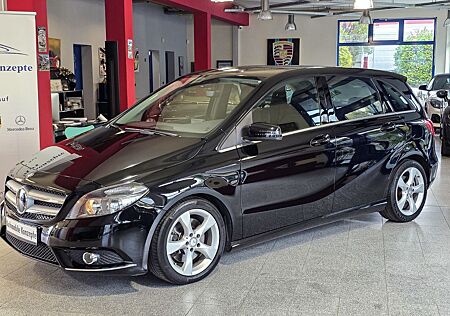 Mercedes-Benz B 220 B -Klasse 4Matic,Park-Ass.Sitzkomf.Pkt.AHK