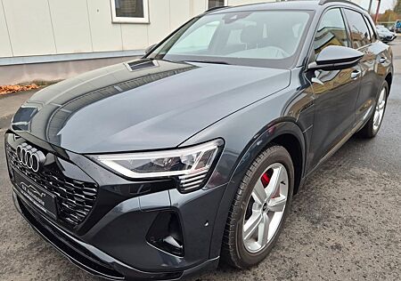 Audi Q8 e-tron CAM*Virtuall*Matrix*APP*Quattro
