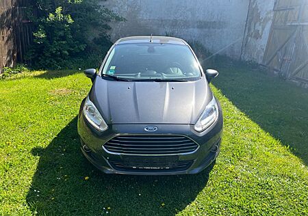 Ford Fiesta 1,0 EcoBoost 74kW S/S Titanium Titanium