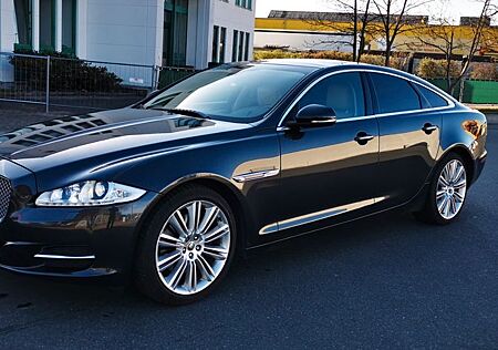 Jaguar XJ Luxury 3.0 V6 Diesel S Luxury