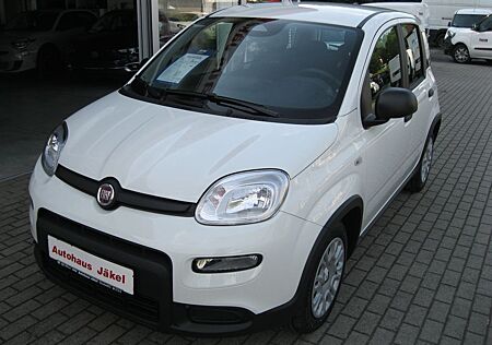 Fiat Panda 1.0 GSE Hybrid - 2x verfügbar