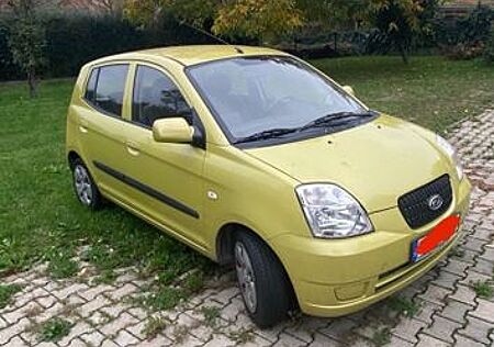 Kia Picanto gebraucht kaufen Kia Picanto