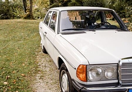 Mercedes-Benz 200 W123 H Kennzeichen