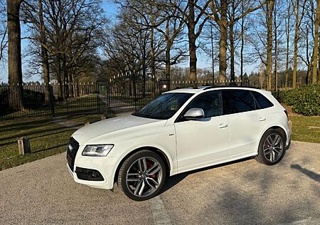 Audi SQ5 3.0 TDI quattro *TraumAusstattung*RS*Special