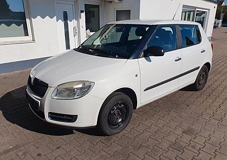 Skoda Fabia Cool Edition 8 Fach bereift