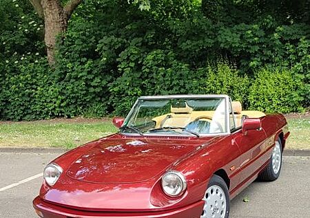Alfa Romeo Spider , Rostfrei, Top Zustand