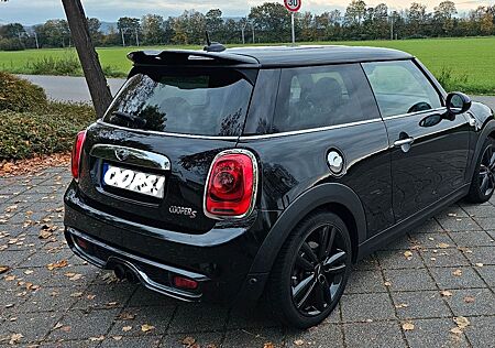 Mini Cooper S - HarmanKardon - 12fach bereift