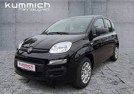 Fiat Panda MY25 Pandina ICON Hybrid 1.0 GSE 51kw 70PS