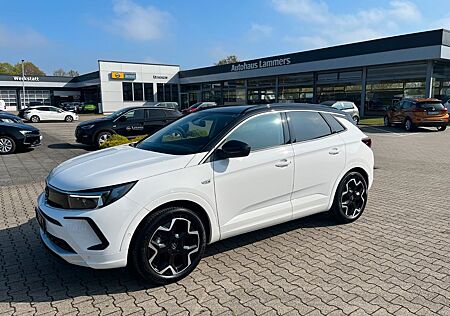 Opel Grandland X Grandland Ultimate*Automatik*Navi*Winterpaket*