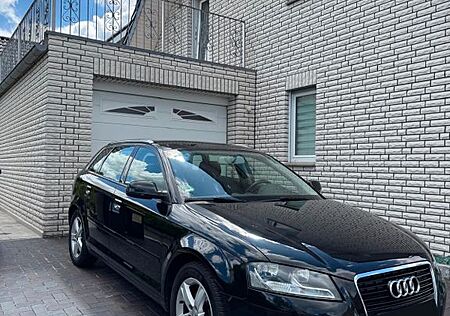 Audi A3 8P 1.6 TDI Diesel
